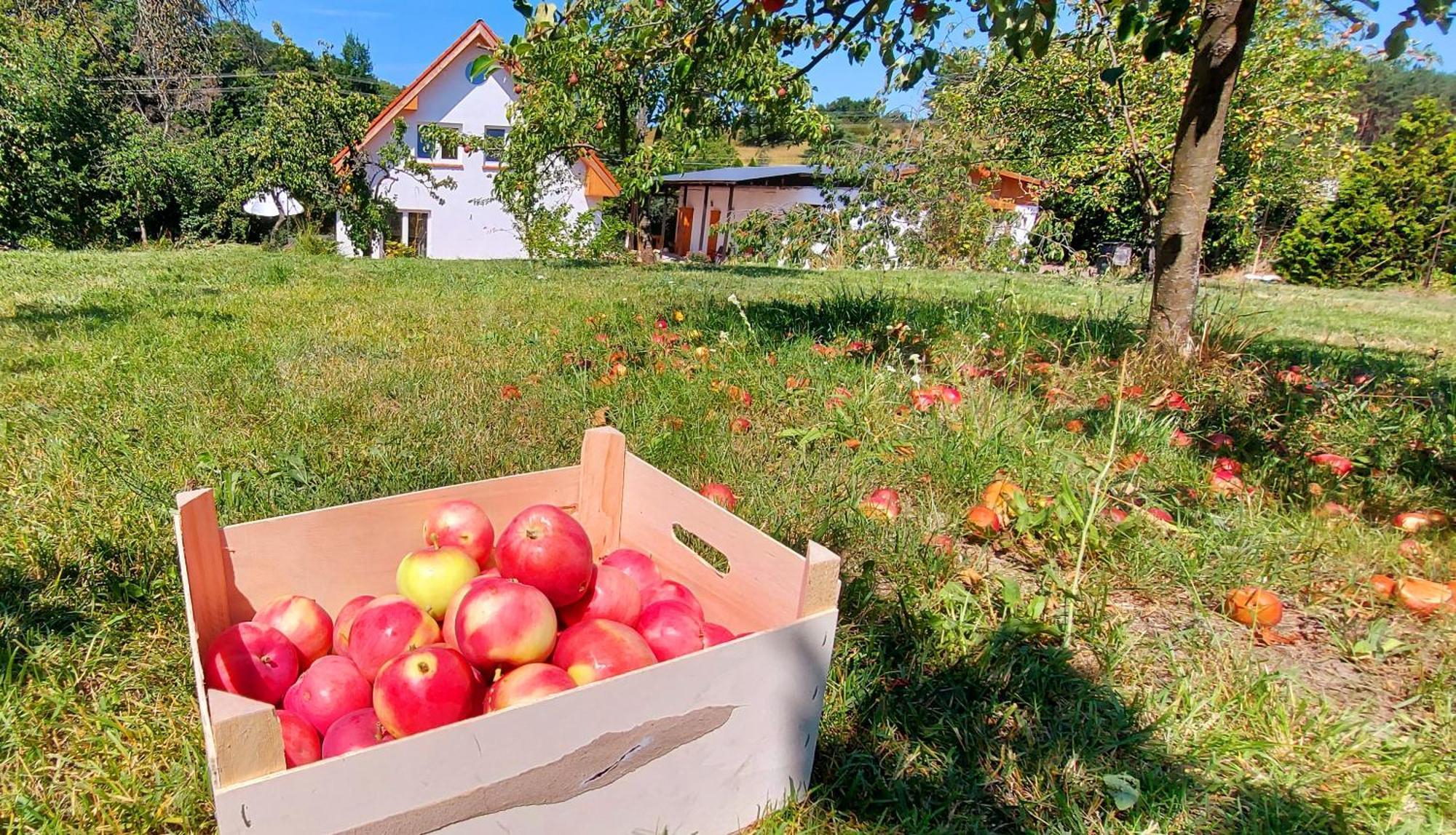 Dobre Miejsce Villa Miedzyzdroje Buitenkant foto